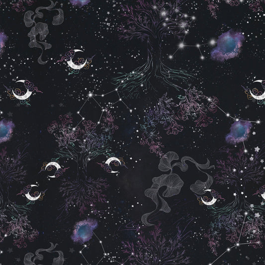 Ground to Galaxy: A Celestial Journey in Outerwear